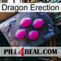 Dragon Erection 02